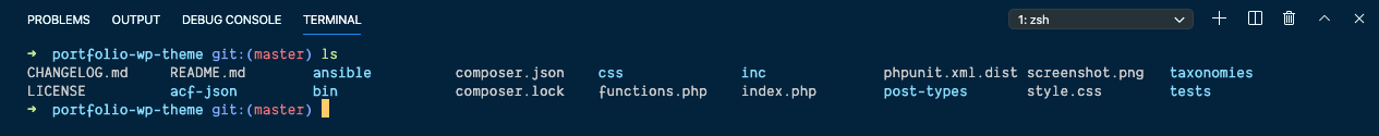 vscode-zsh-terminal-integration-1